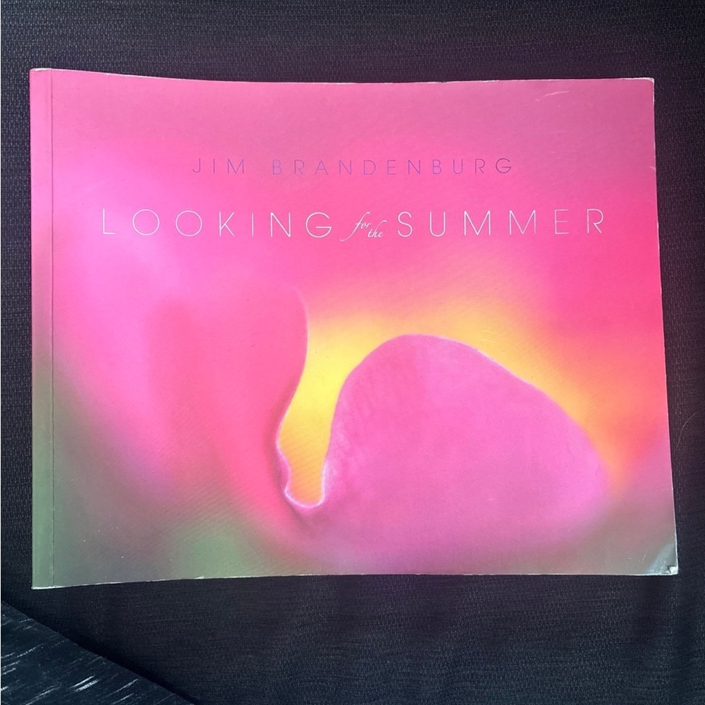 Looking for the Summer Book